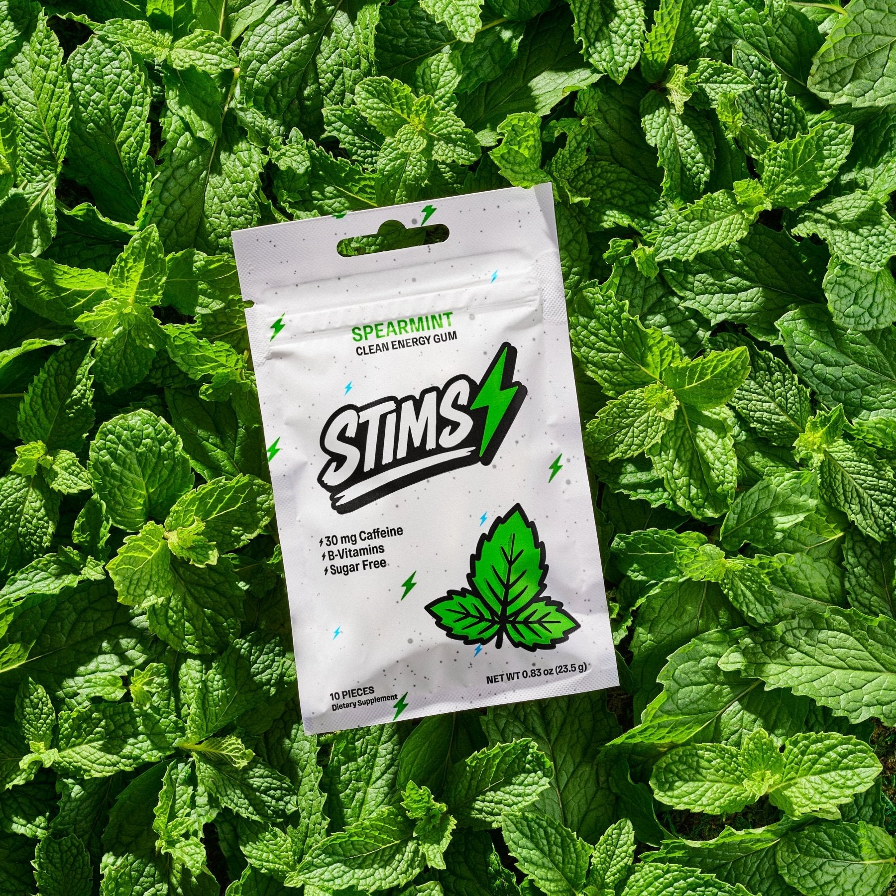 STIMS® SPEARMINT ENERGY GUM - Stims Energy Gum